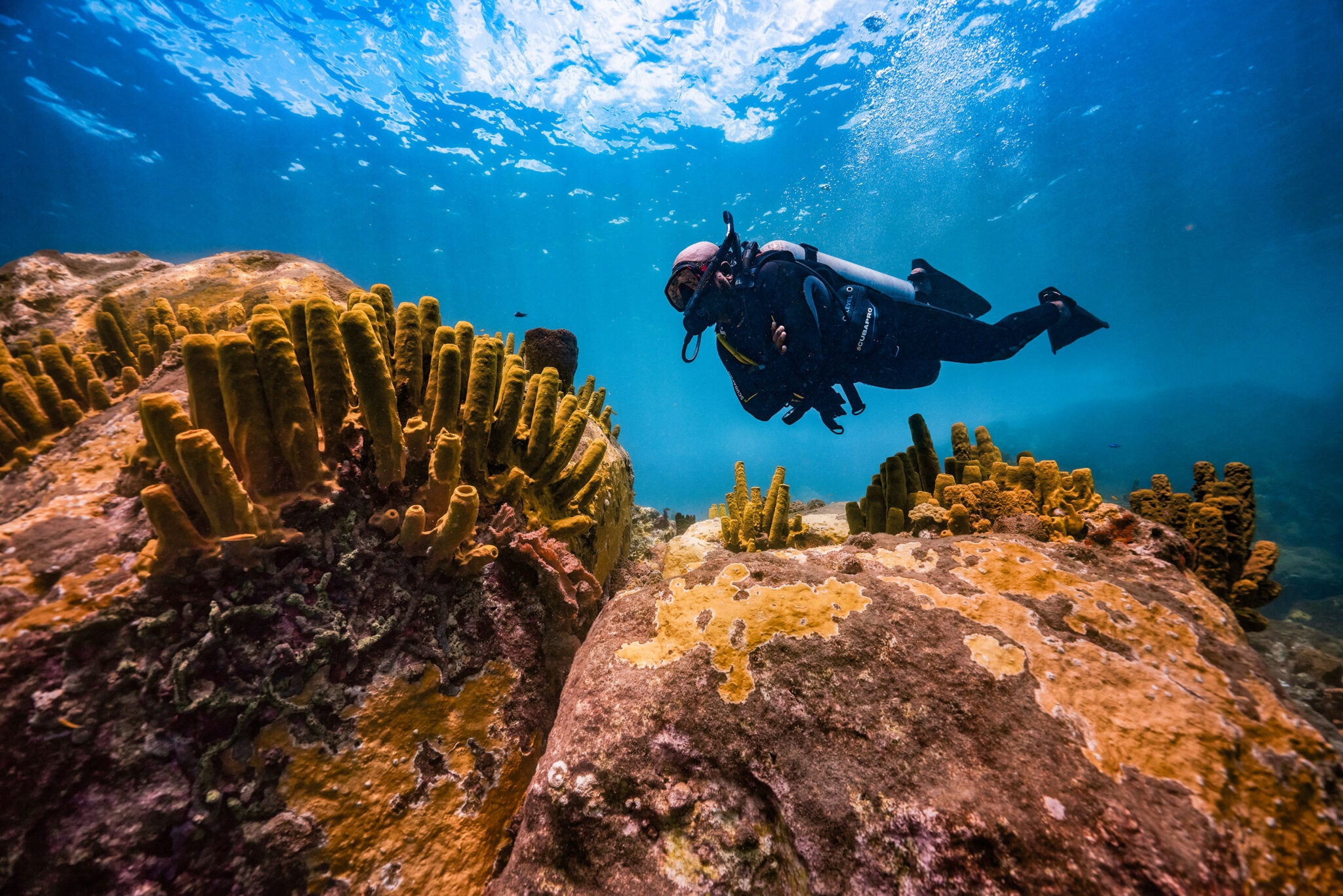 Scuba diving in Caribbean waters, Saint Lucia